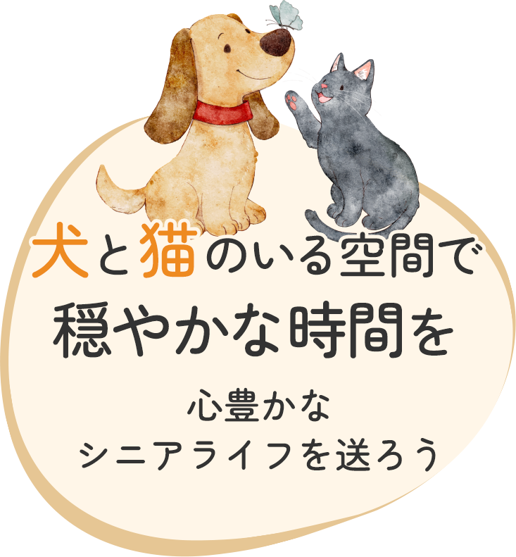 犬と猫のいる空間で穏やかな時間を