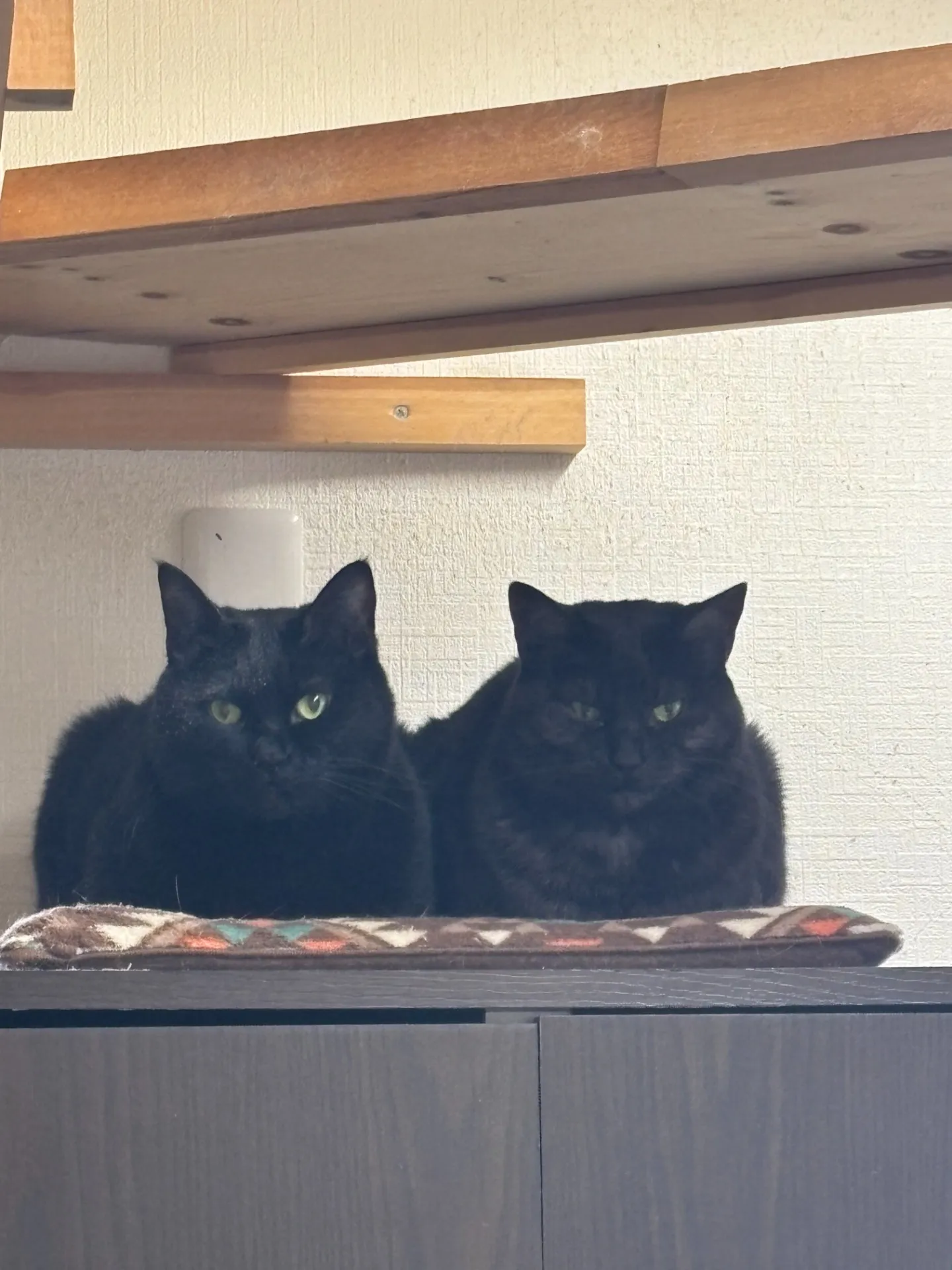 株式会社まごころホーム