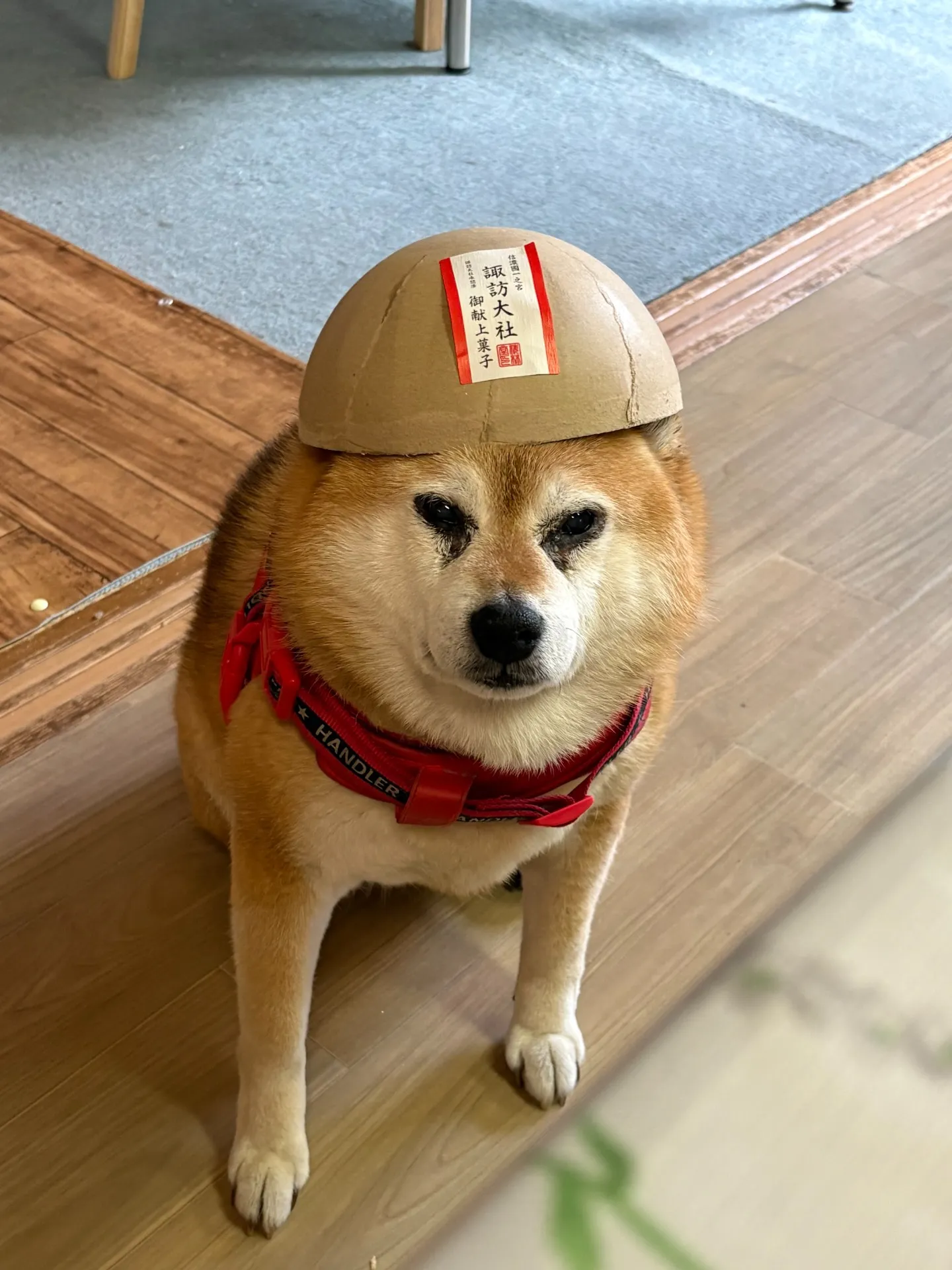 避難訓練しました